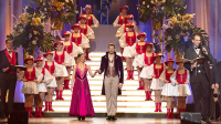 Rosenball 2025 der Faschingsgilde Rosenheim im Wirtschaftlichen Verband der Stadt und des Landkreises Rosenheim e. V., Saal Bayern des KU‘KO Rosenheim: Programmblock mit Inthronisation des Rosenheimer Prinzenpaares, Gardemarsch und Prinzenwalzer. Foto: Olaf Konstantin Krueger