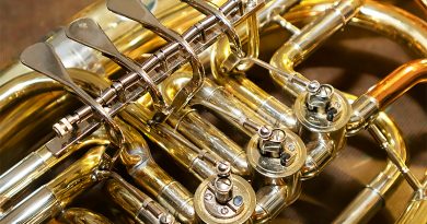 FVO_20250801-203554-0401-LF-CL-B-OKK_0800x0445